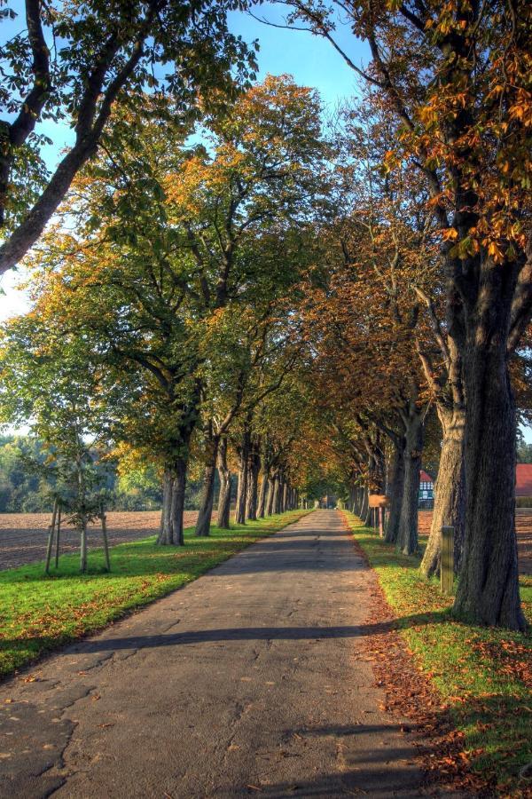 Schlosspark Hollwinkel Preußisch Oldendorf Exterior photo